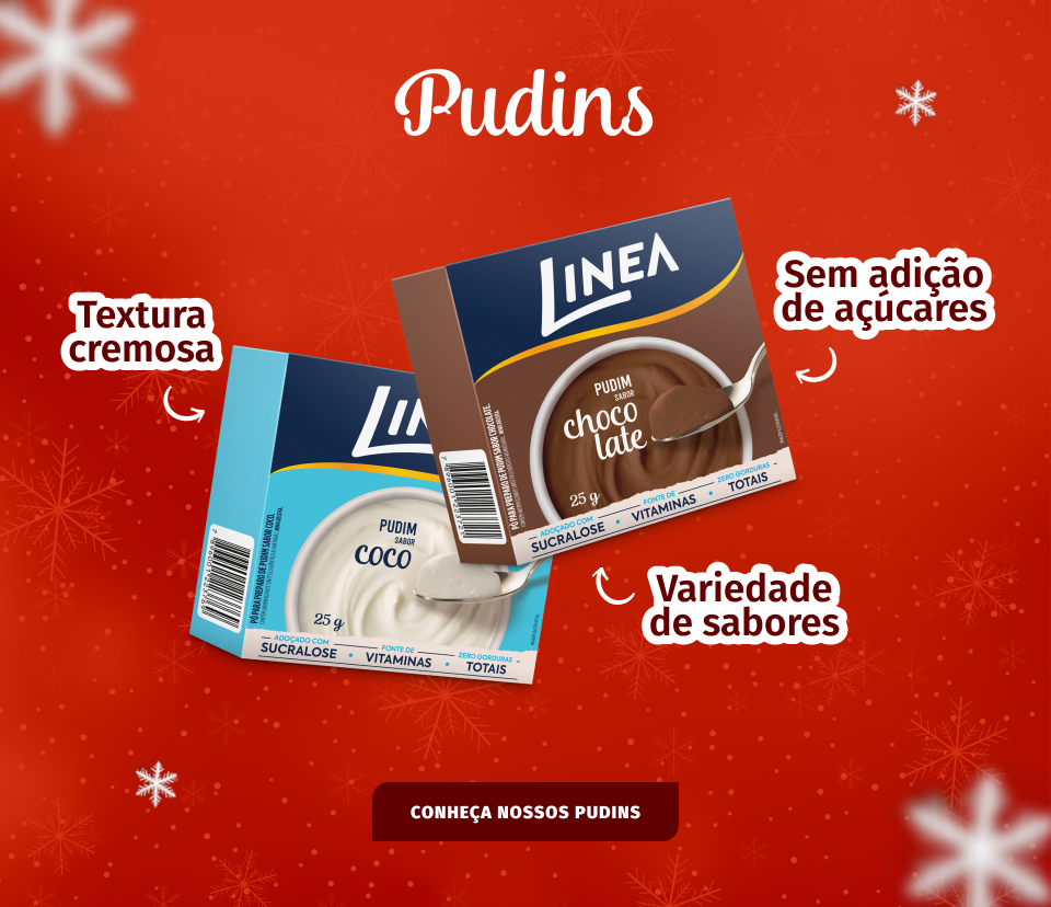 pudins-secundario
